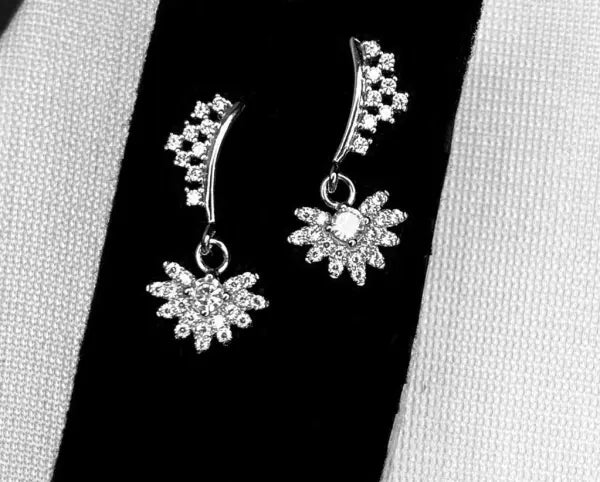 Silver Diamonds Earrings